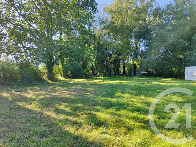 terrain à vendre - 1200.0 m2 - ST GILDAS DE RHUYS - 56 - BRETAGNE - Century 21 Saint Gildas