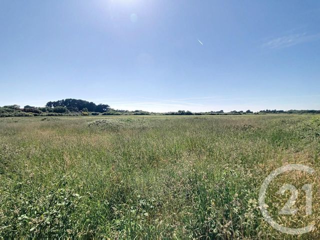 maison à vendre - 5 pièces - 118.0 m2 - ST GILDAS DE RHUYS - 56 - BRETAGNE - Century 21 Saint Gildas