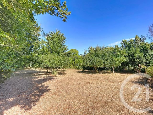 Afficher la photo en grand terrain à vendre - 910.0 m2 - ST GILDAS DE RHUYS - 56 - BRETAGNE - Century 21 Saint Gildas