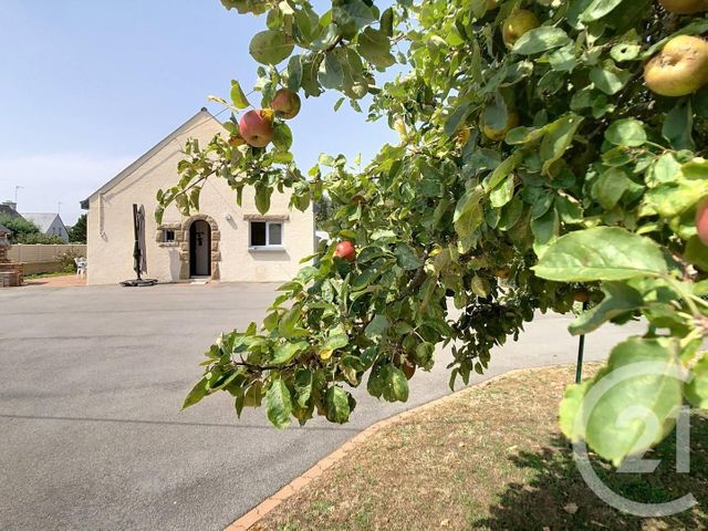 maison - ST GILDAS DE RHUYS - 56
