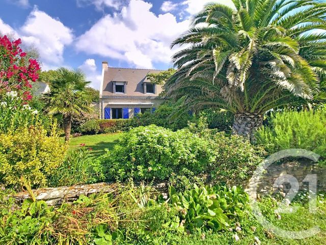 maison - ST GILDAS DE RHUYS - 56