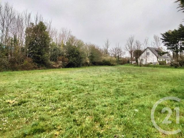 terrain à vendre - 441.0 m2 - ST GILDAS DE RHUYS - 56 - BRETAGNE - Century 21 Saint Gildas